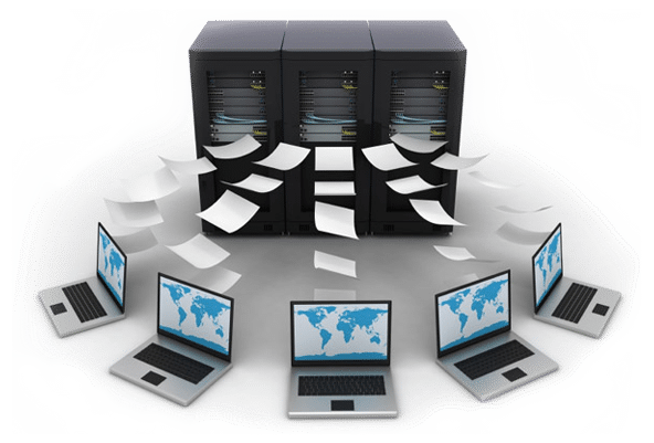 dbms Empresa de desarrollo de software